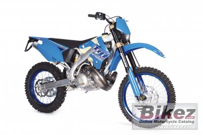 2010 TM Racing EN 300 photo